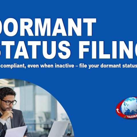 How to File for Dormant Status: A Comprehensive Guide for Inactive Companies