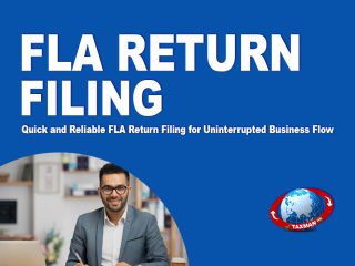 FLA Return Filing in Vasundhara