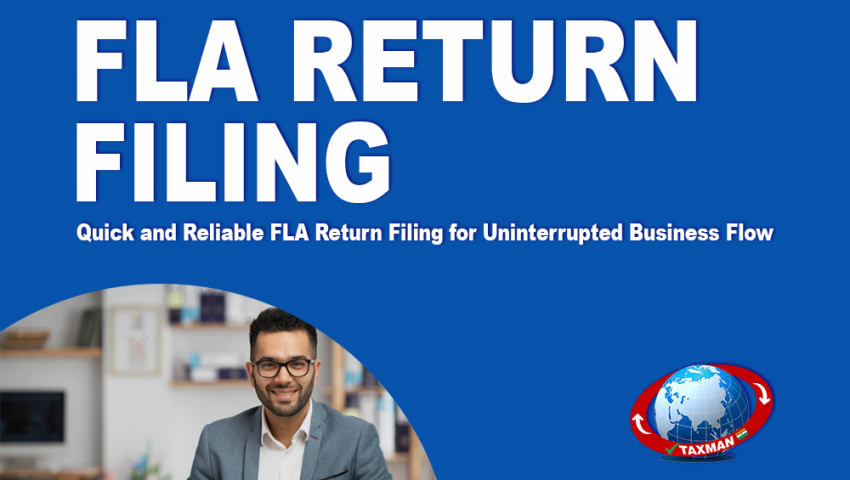 FLA Return Filing in Noida