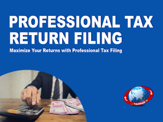 Professional Tax Return Filing in Ghaziabad