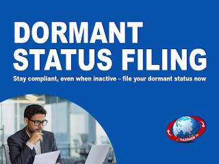 Dormant Status Filing