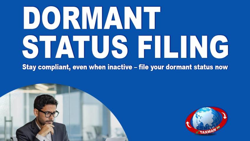 How to File for Dormant Status: A Comprehensive Guide for Inactive Companies