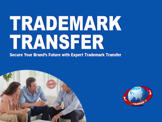 Trademark Transfer in Vasundhara